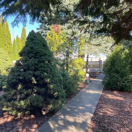 Sosto Liget House Holiday home